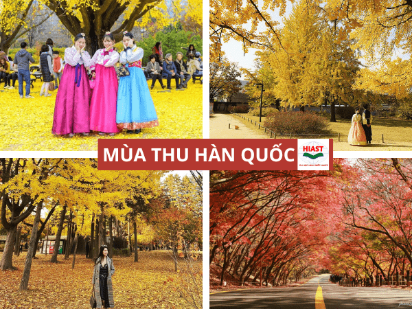 Hàn Quốc thuộc khí hậu gì