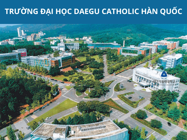 Daegu Catholic