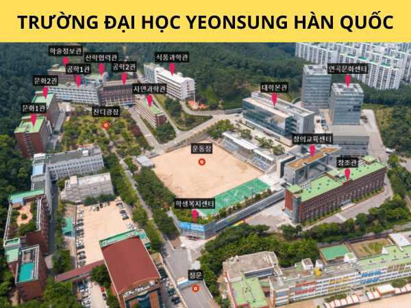 ĐẠI HỌC YEONSUNG