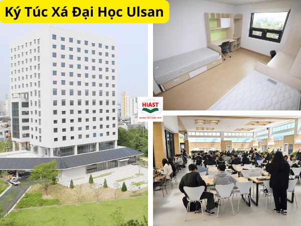 ký túc xá đại học Ulsan