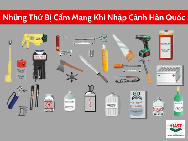 Những Thứ Bị Cấm Mang Vào Hàn Quốc 2024 