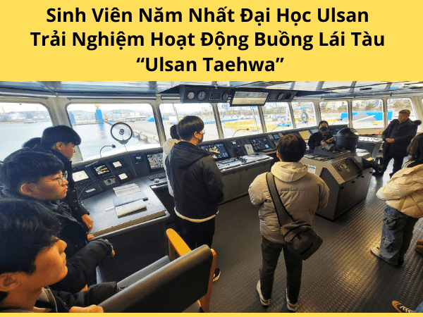 trường đại học ulsan có những ngành gì 