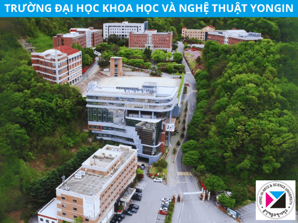 trường đại học Yongin