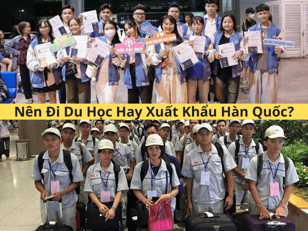 Nên Đi Du Học Hay Xuất Khẩu Hàn Quốc