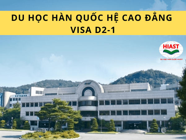 Visa D2-1 