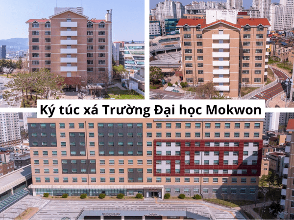 Trường đại học Mokwon Hàn Quốc