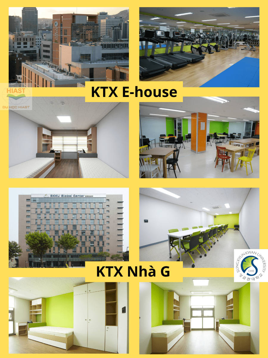 đại học sungkyunkwan hàn quốc