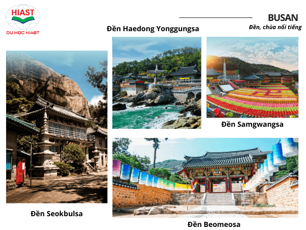mua sắm ở busan