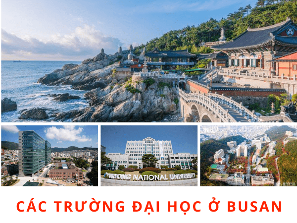 thành phố biển busan hàn quốc