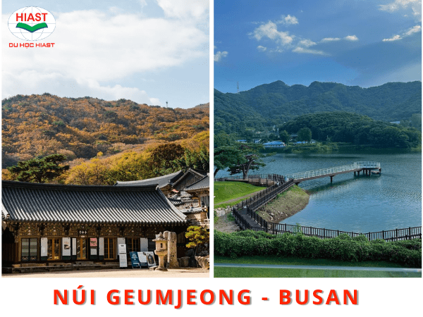 thành phố busan của hàn quốc