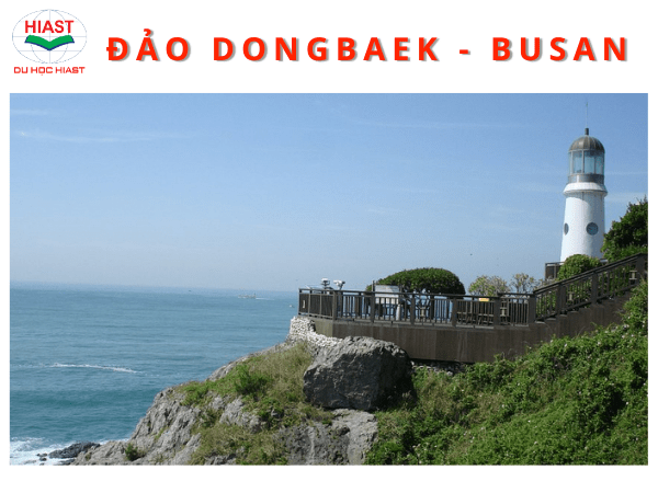 thành phố busan hàn quốc