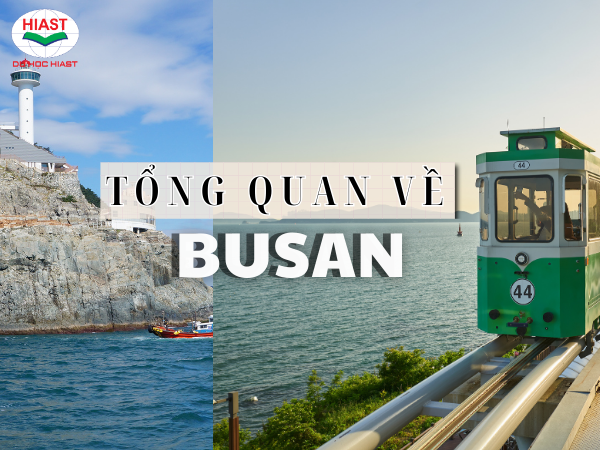 thành phố busan