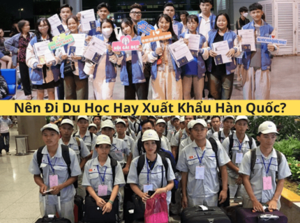 [2025] Nên Đi Du Học Hay Xuất Khẩu Hàn Quốc? 