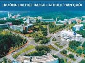  Trường Đại Học Daegu Catholic - 대구가톨릭대학교